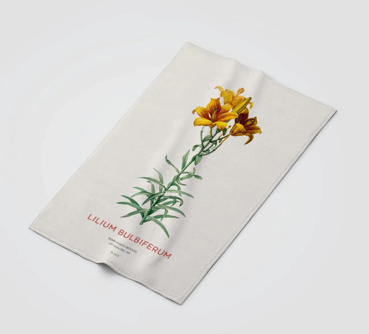 Giglio di fuoco o Lilium bulbiferum coperta in pile da Vintagrafica