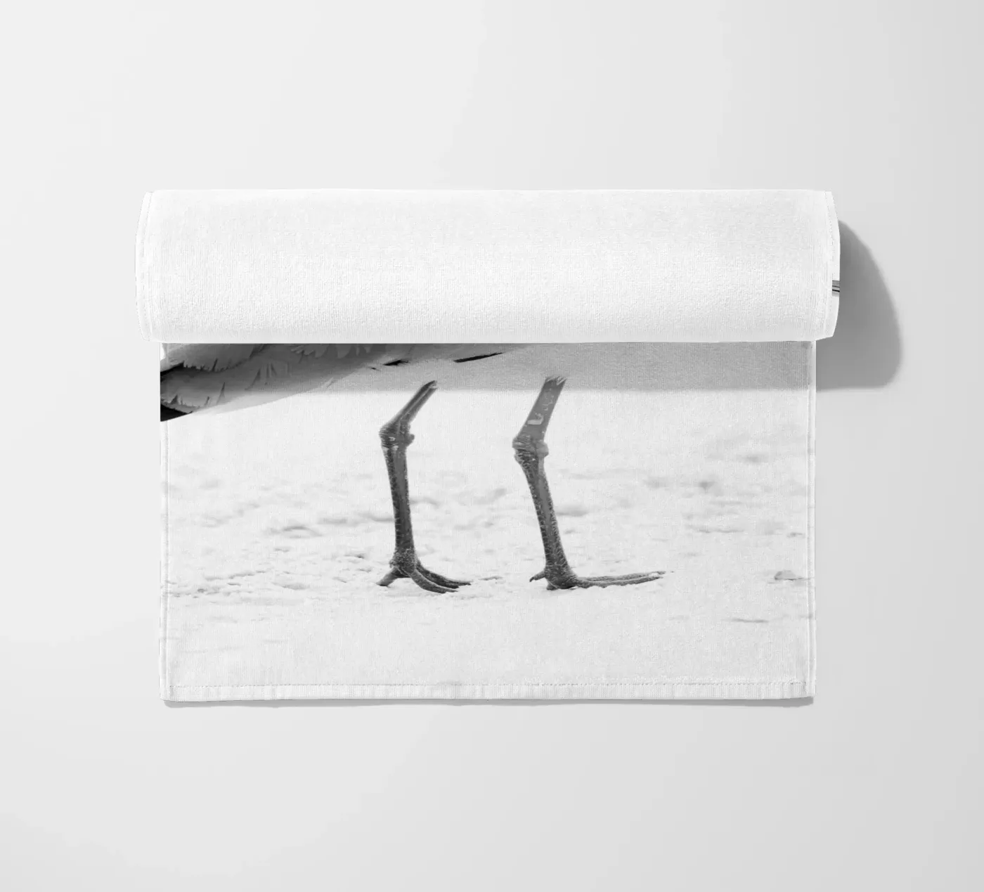 Vanellus chilensis telo mare da rafael campezato