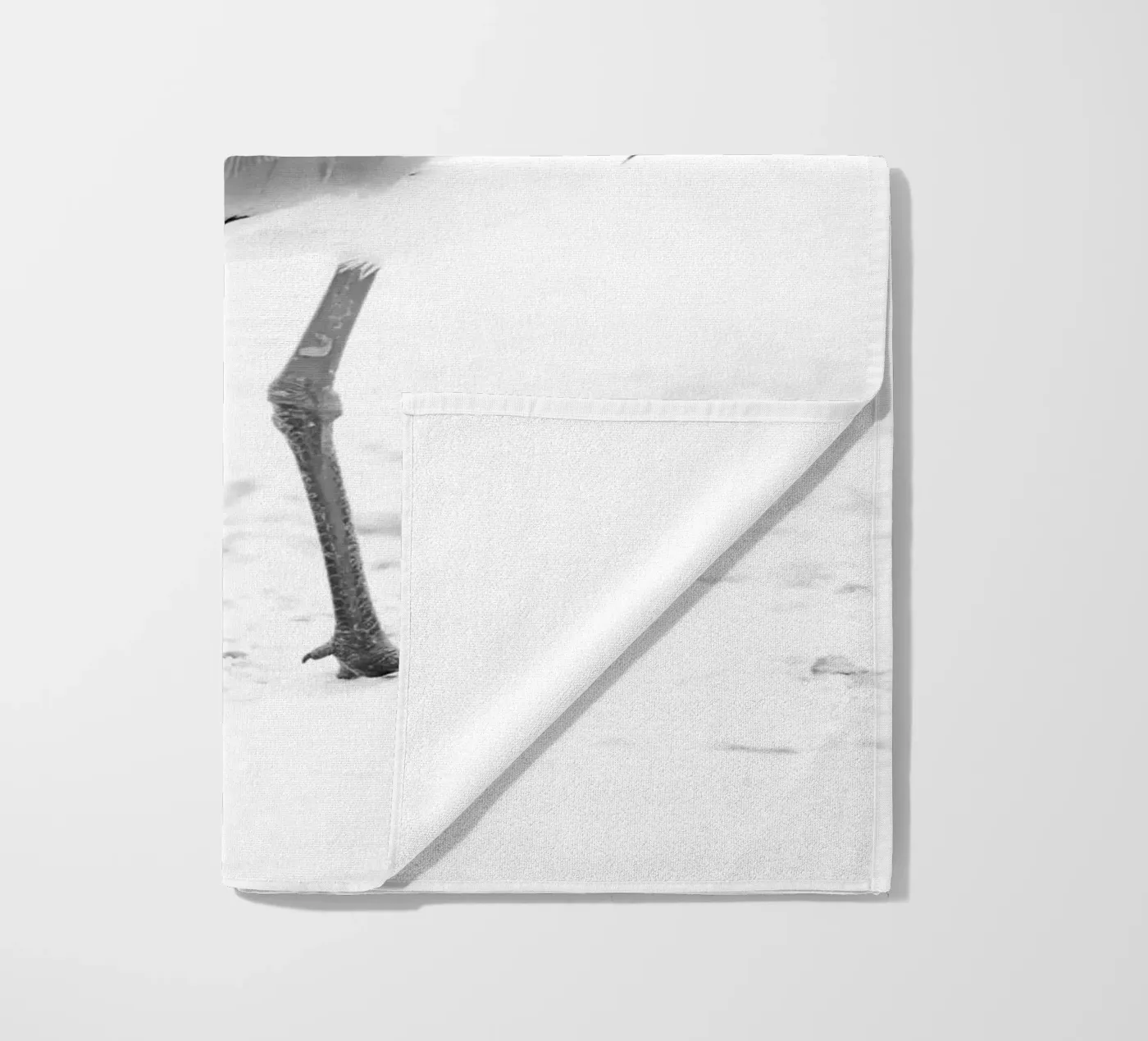 Vanellus chilensis telo mare da rafael campezato