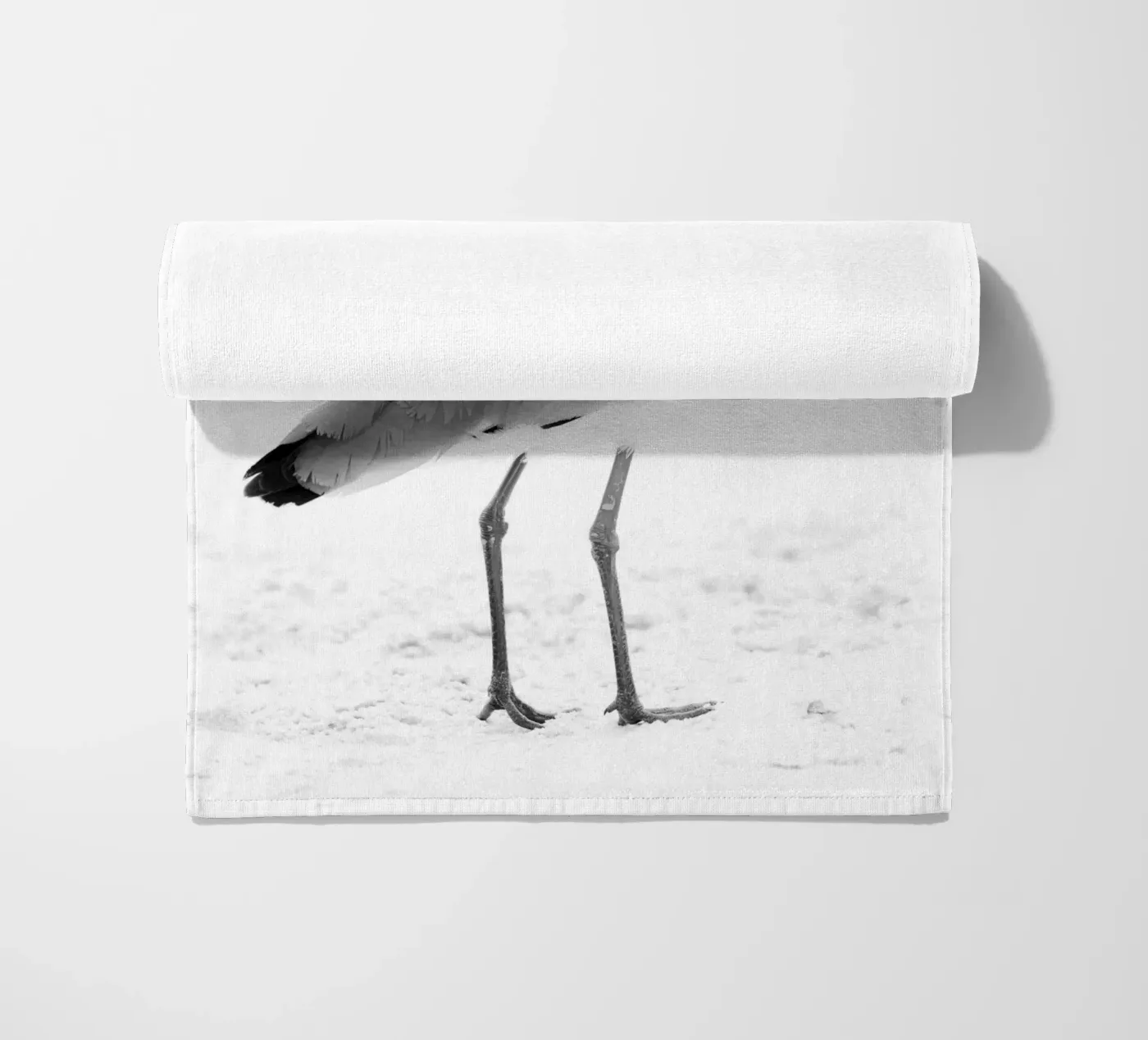 Vanellus chilensis telo mare da rafael campezato