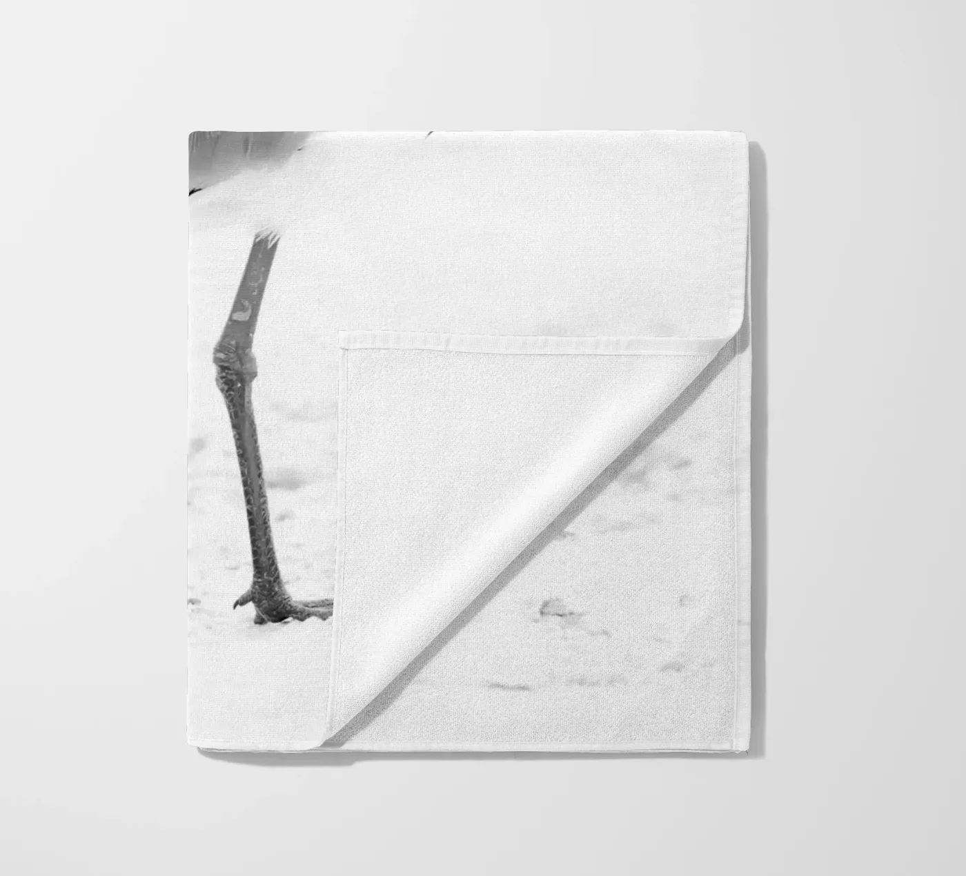 Vanellus chilensis telo mare da rafael campezato