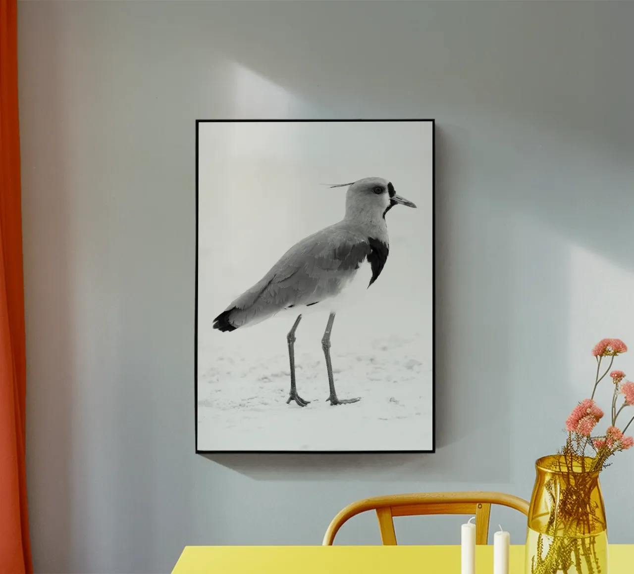 Vanellus chilensis plexiglass da rafael campezato