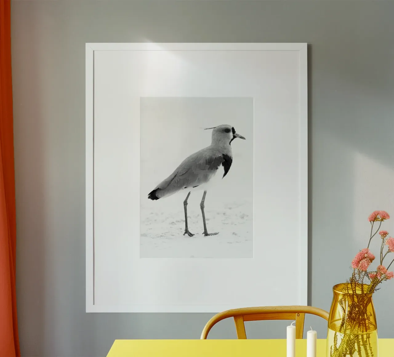 Vanellus chilensis poster da rafael campezato