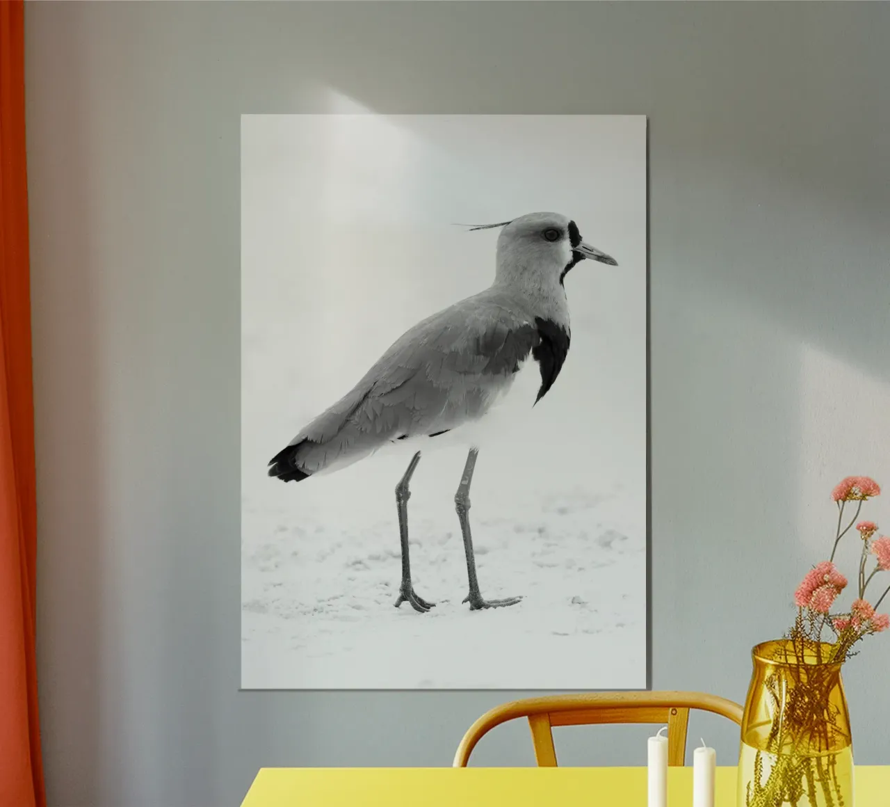 Vanellus chilensis poster da rafael campezato