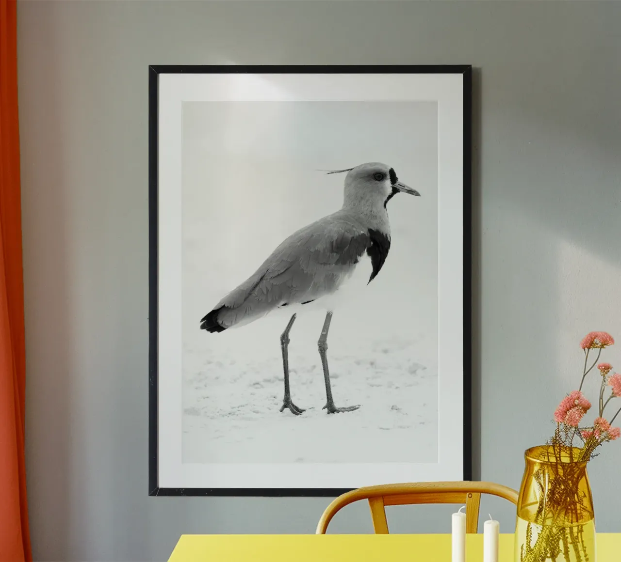 Vanellus chilensis poster da rafael campezato