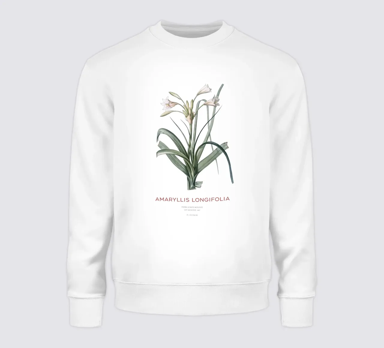 Giglio Amaryllis o Amaryllis longifolia felpa da Vintagrafica