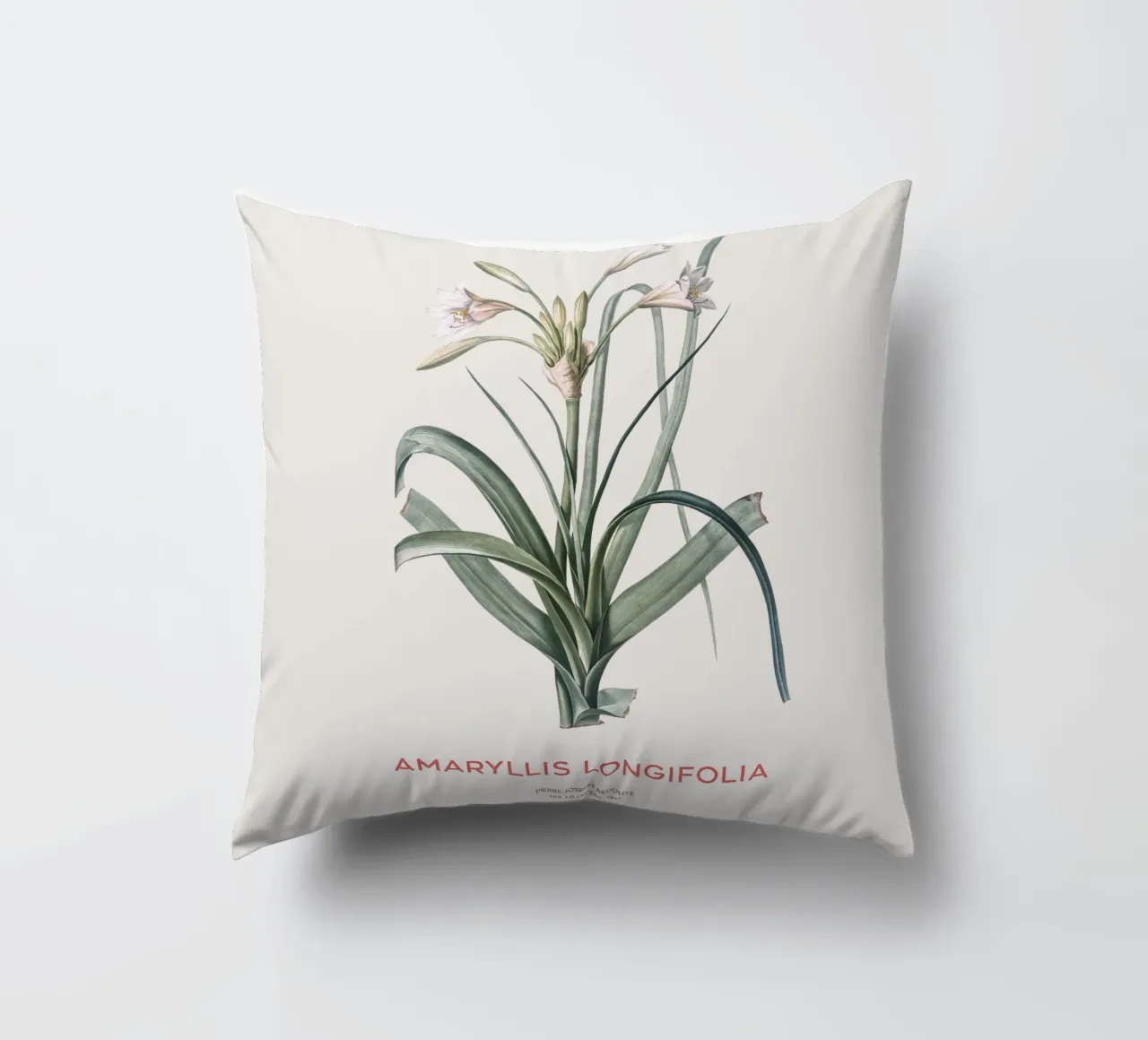 Giglio Amaryllis o Amaryllis longifolia cuscino da Vintagrafica