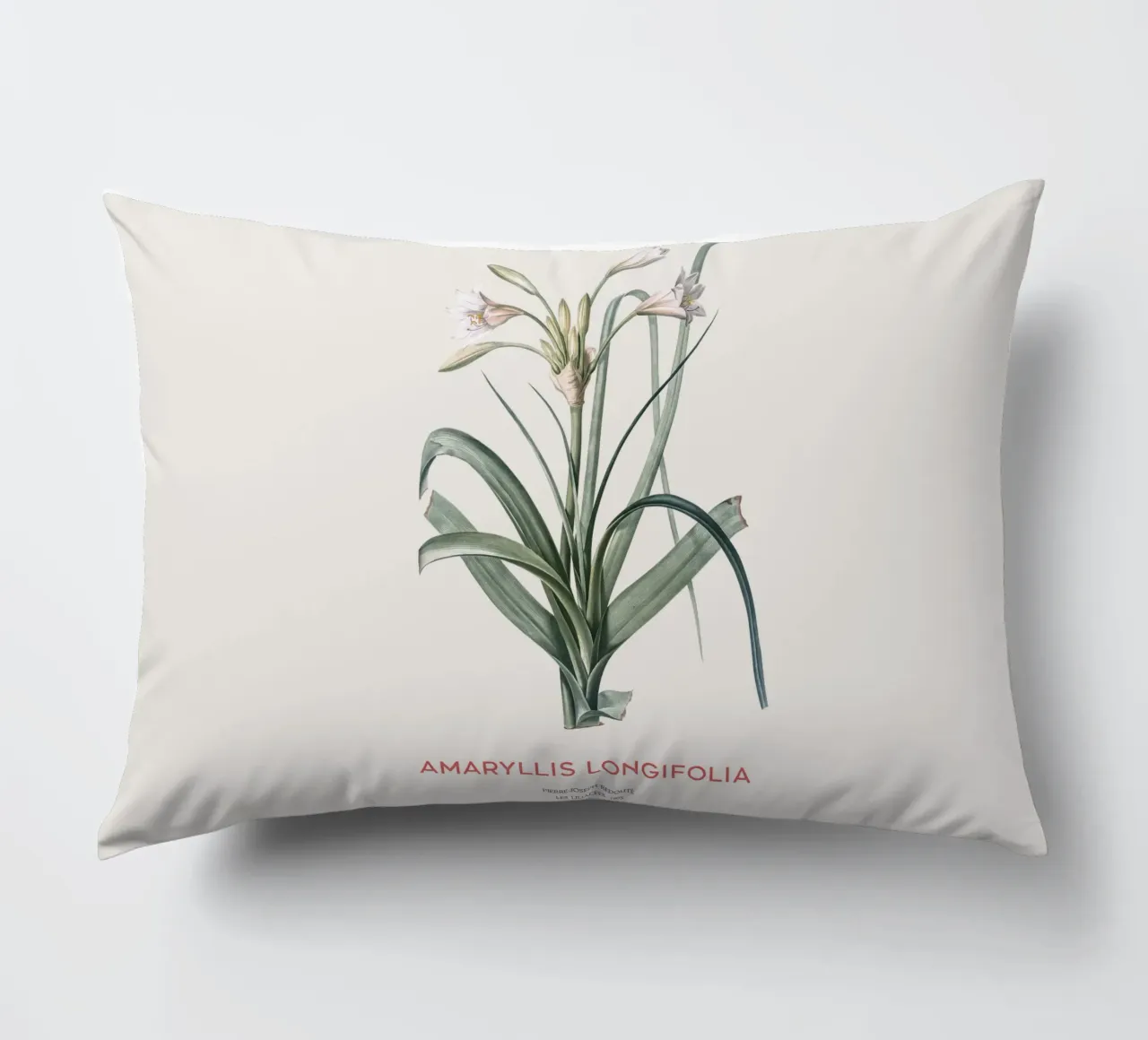 Giglio Amaryllis o Amaryllis longifolia cuscino da Vintagrafica