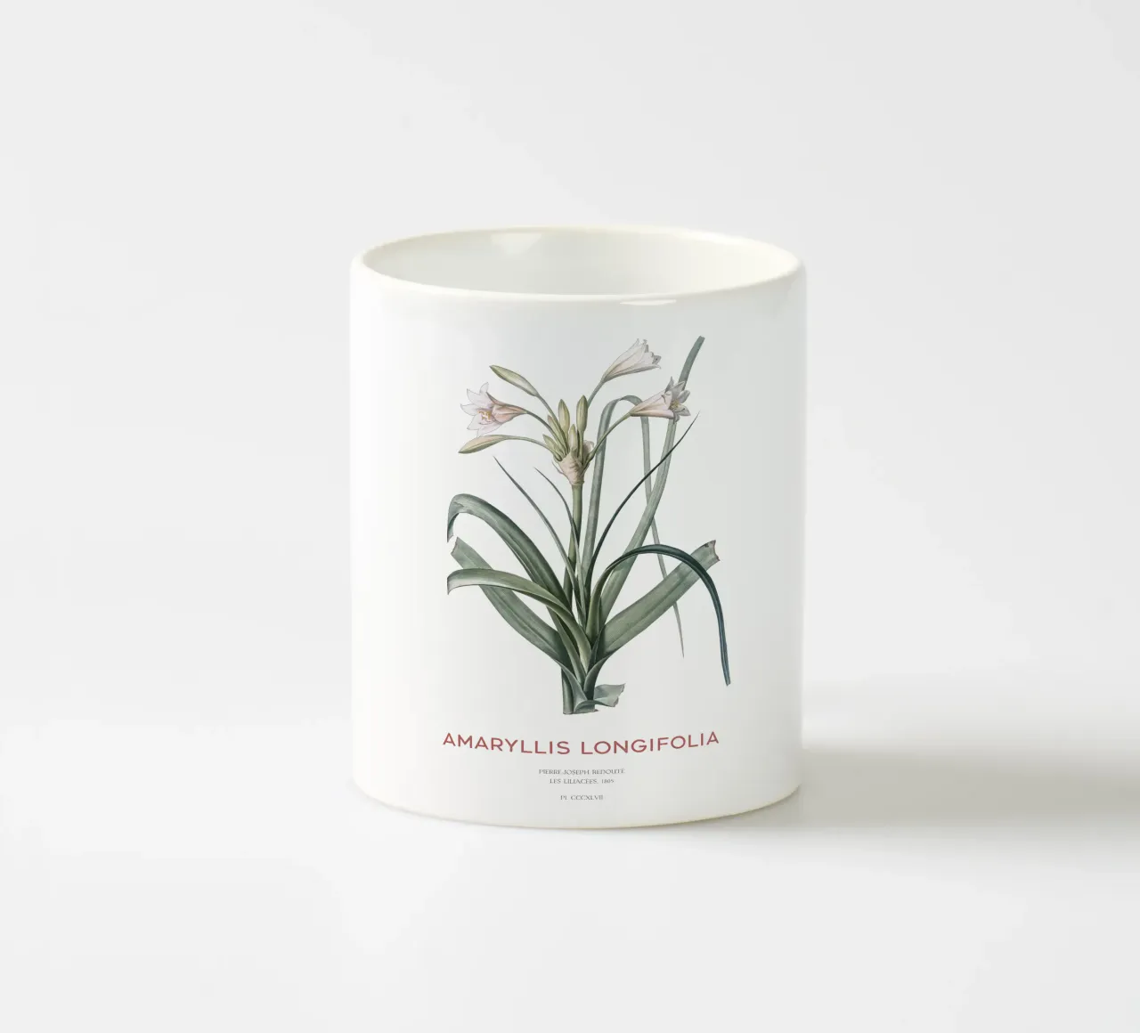 Giglio Amaryllis o Amaryllis longifolia tazza in ceramica da Vintagrafica