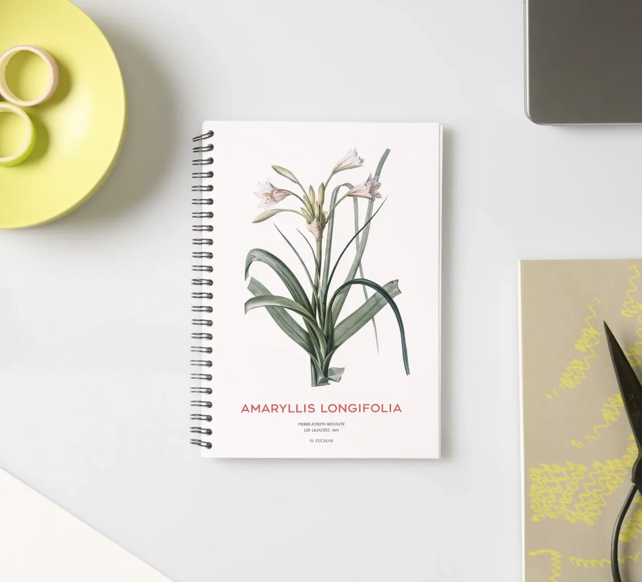 Amaryllis Lilie oder Amaryllis longifolia Ringbuch von Vintagrafica