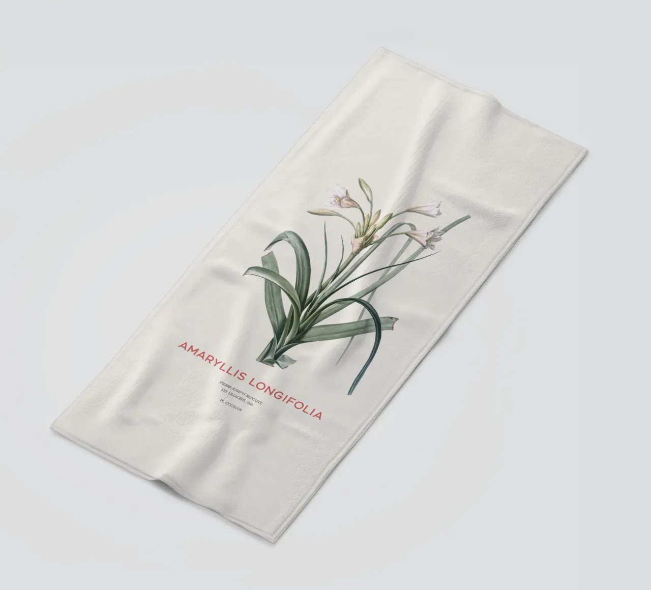 Giglio Amaryllis o Amaryllis longifolia telo mare da Vintagrafica