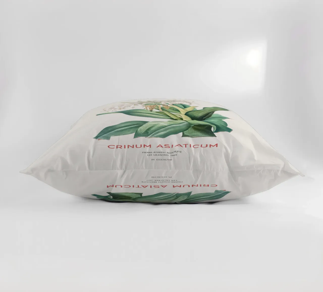 Giglio di ragno o Crinum asiaticum cuscino da Vintagrafica