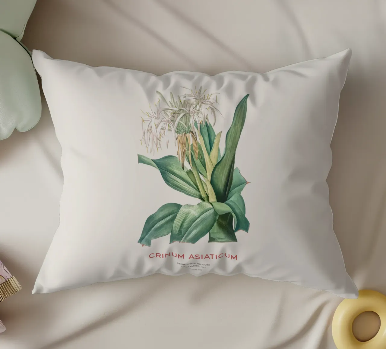 Giglio di ragno o Crinum asiaticum cuscino da Vintagrafica