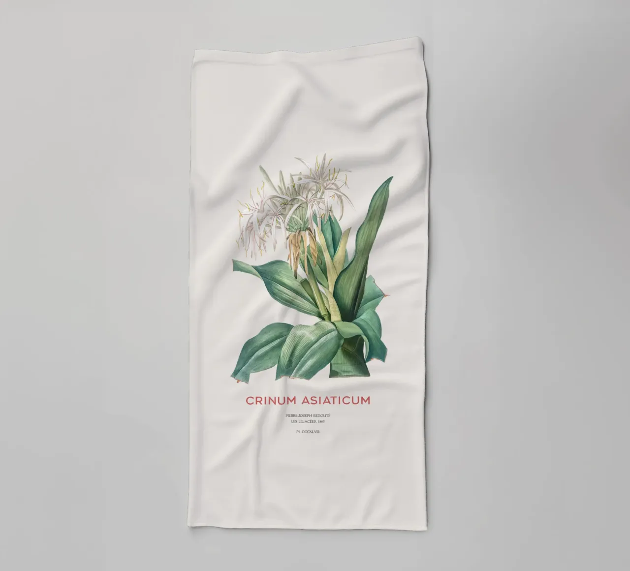 Giglio di ragno o Crinum asiaticum asciugamano da bagno da Vintagrafica