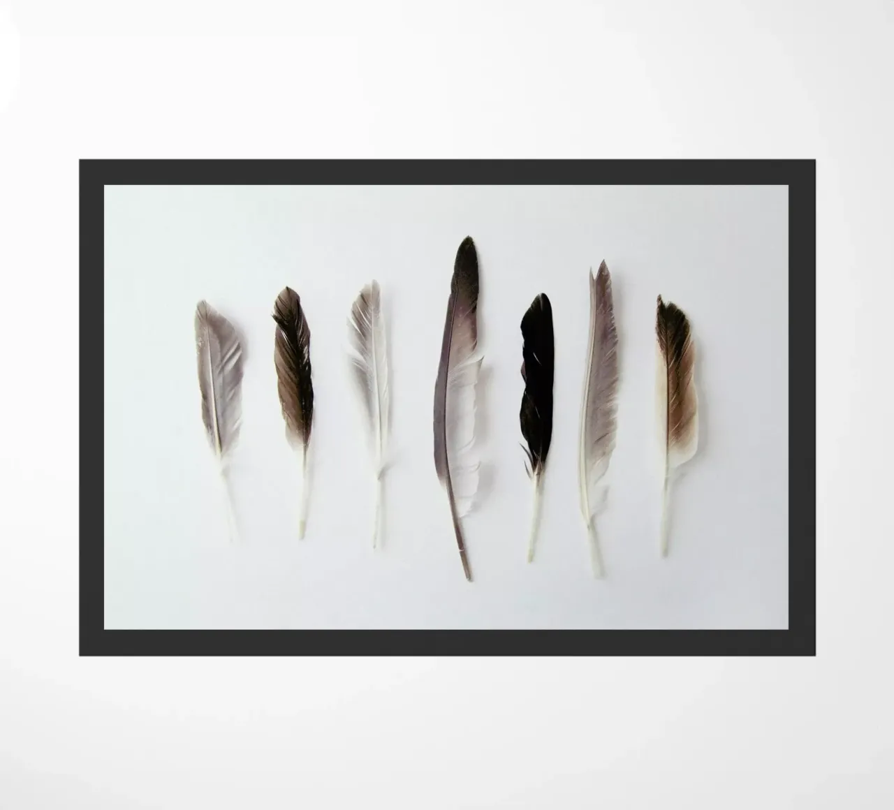 Autumn Feathers zerbino da Miles of Light