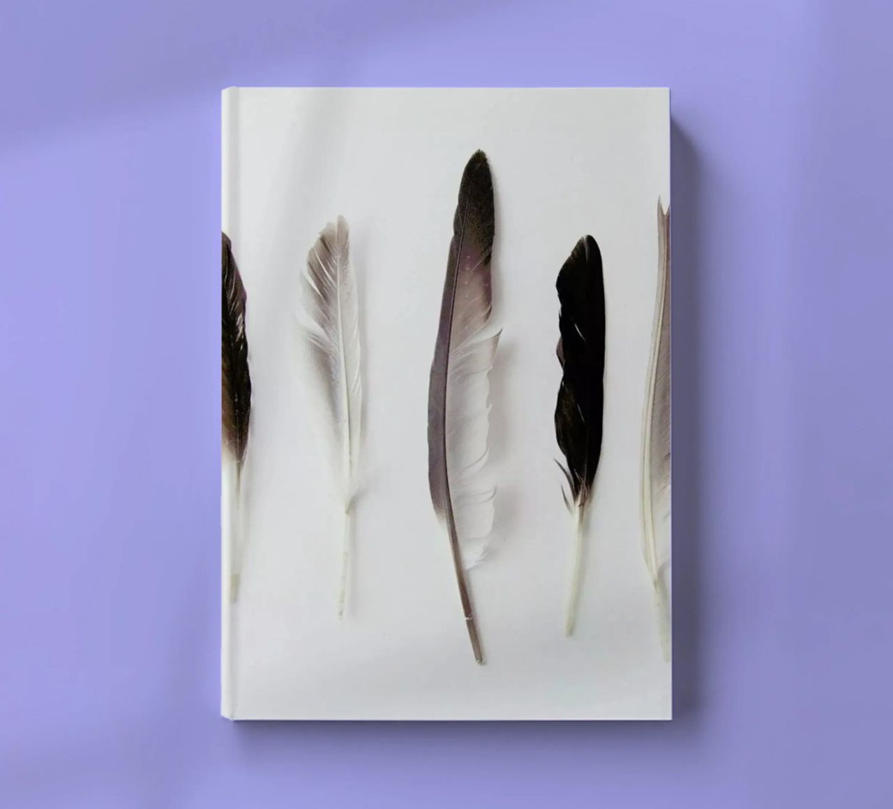 Autumn Feathers notebook by Miles of Light