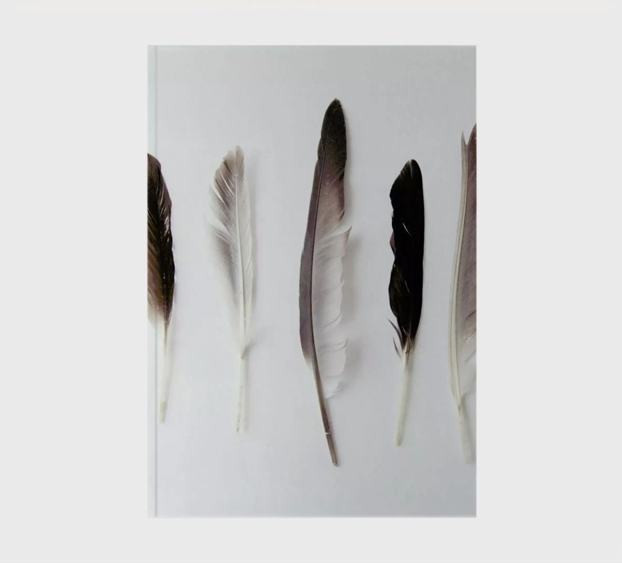 Autumn Feathers notebook by Miles of Light