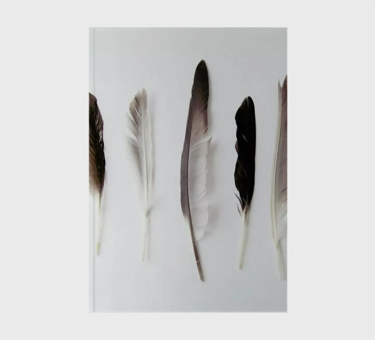 Autumn Feathers carnet de notes de Miles of Light