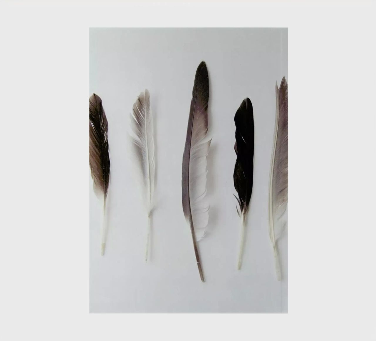Autumn Feathers notebook by Miles of Light