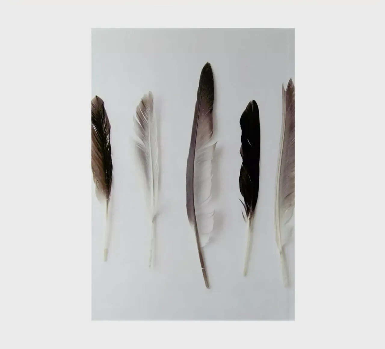 Autumn Feathers Notizbuch von Miles of Light