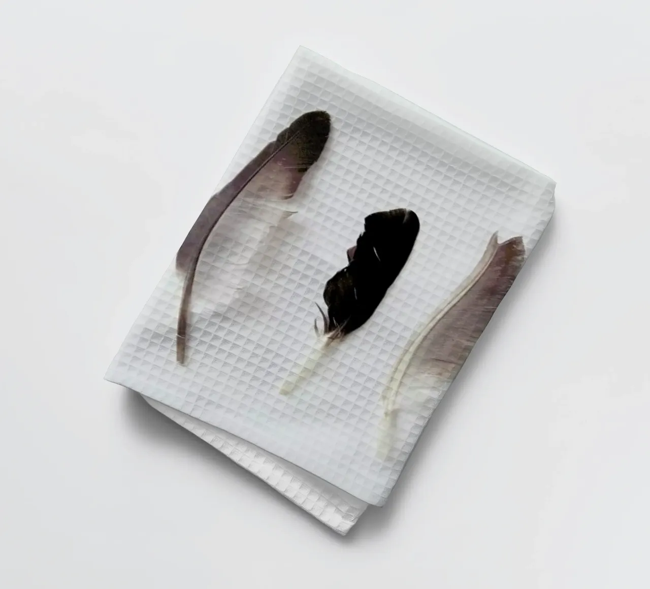 Autumn Feathers canovaccio da cucina da Miles of Light