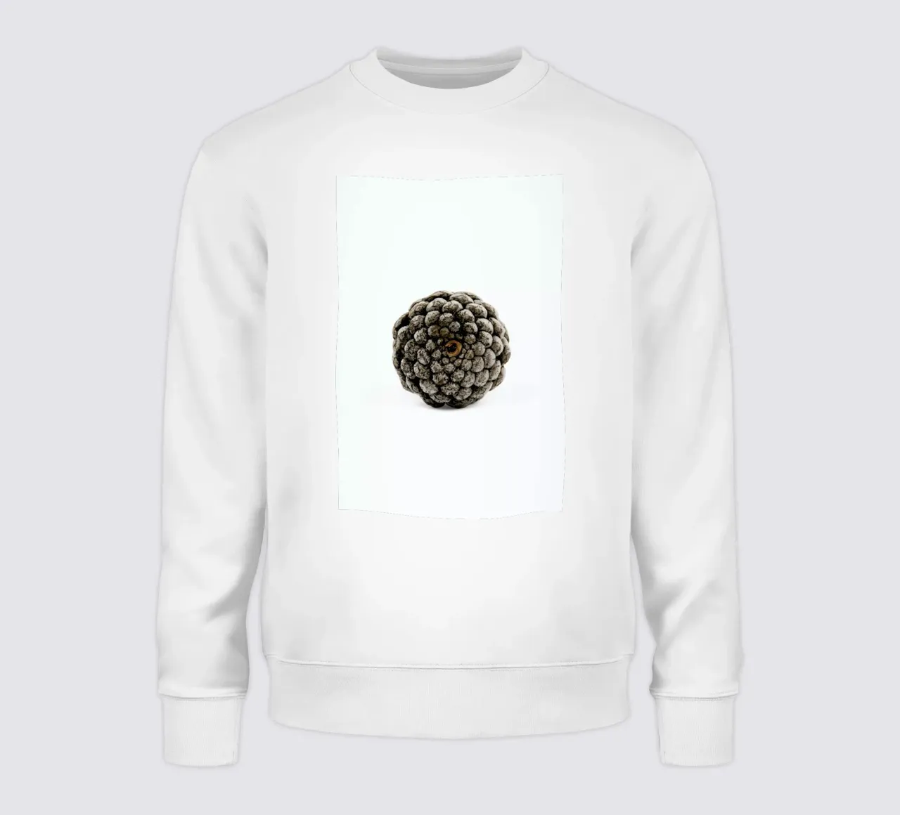 Pinecone N2 Sweatshirt von Miles of Light