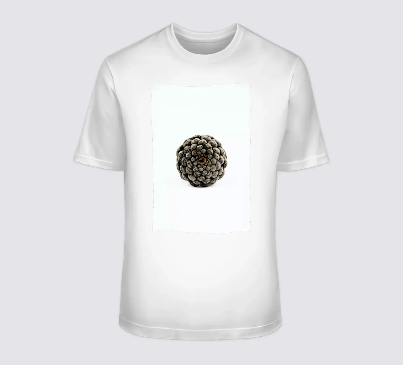 Pinecone N2 t-shirt da Miles of Light