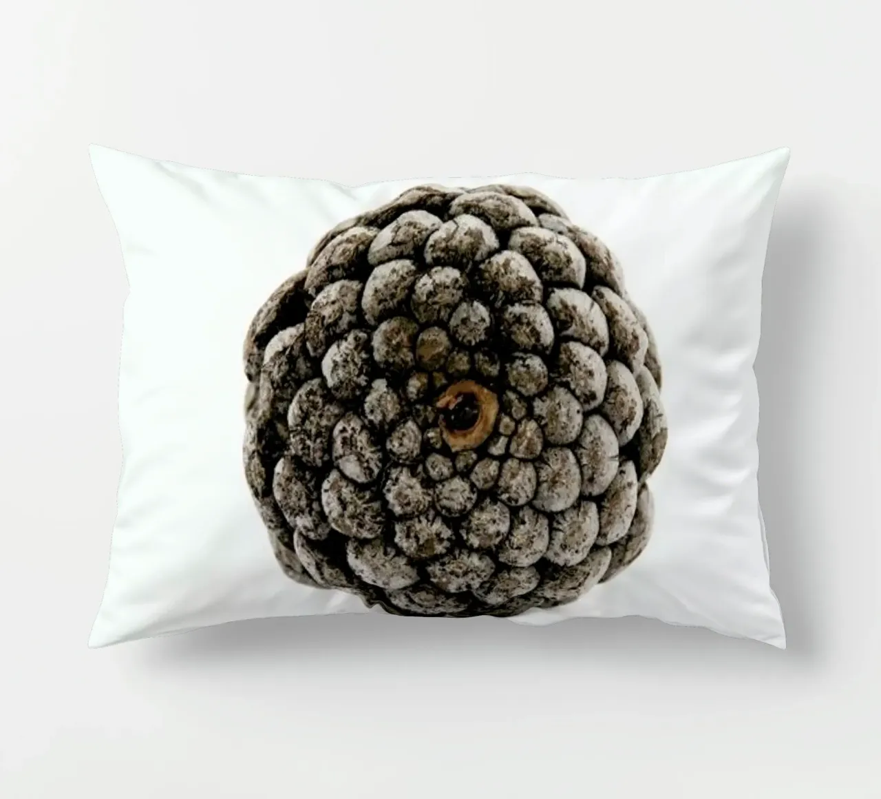 Pinecone N2 cuscino da Miles of Light
