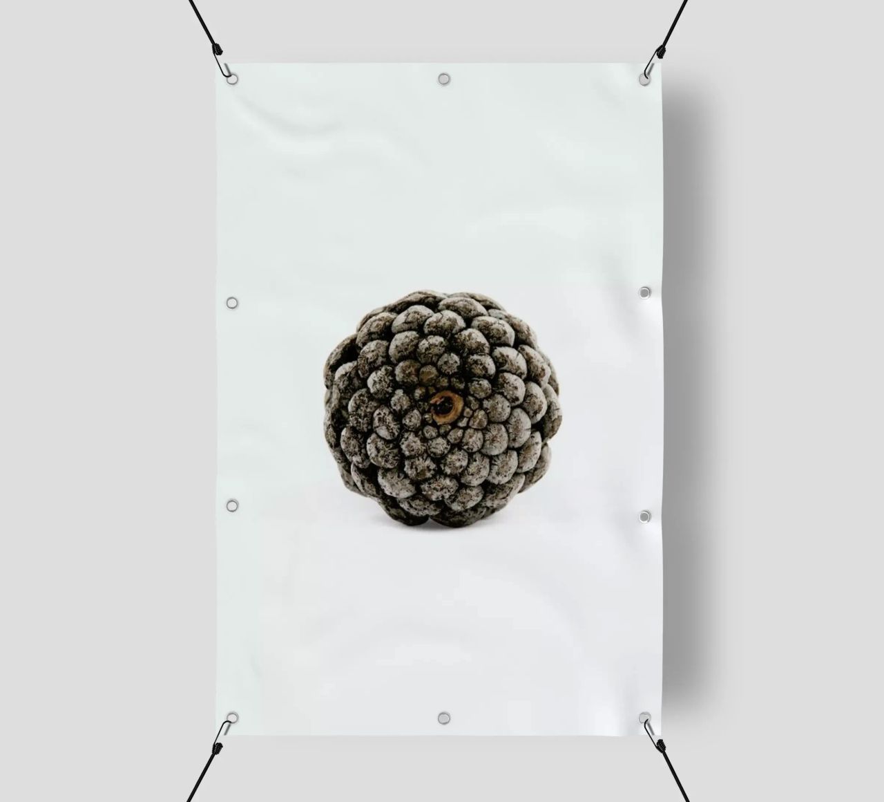 Pinecone N2 telo in pvc da Miles of Light