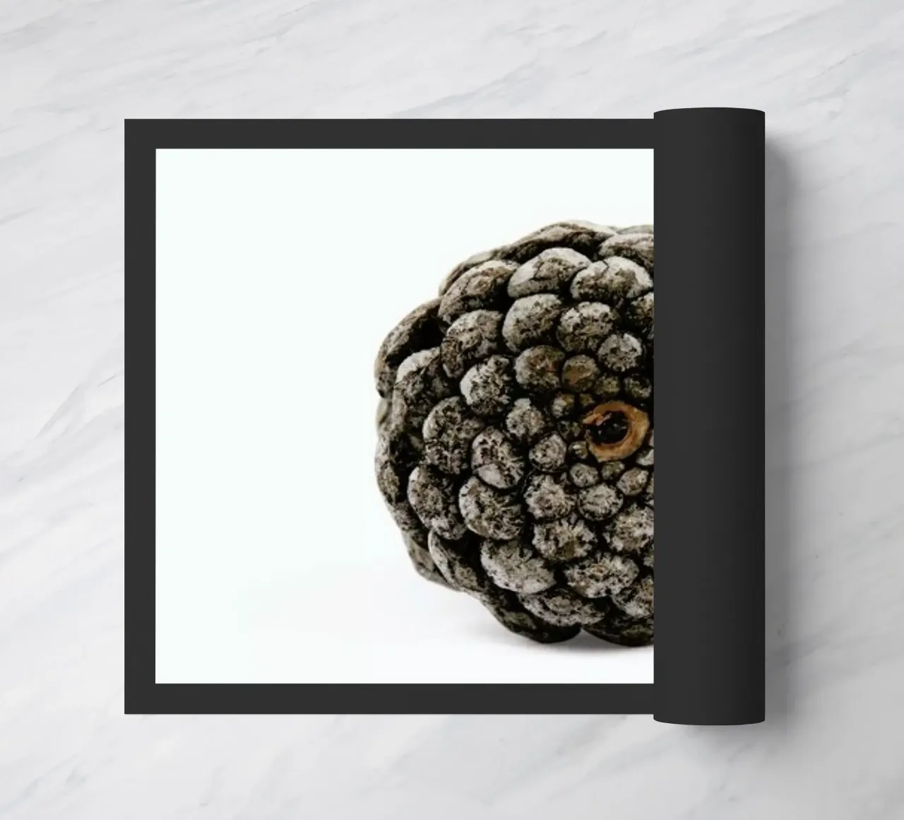 Pinecone N2 doormat by Miles of Light