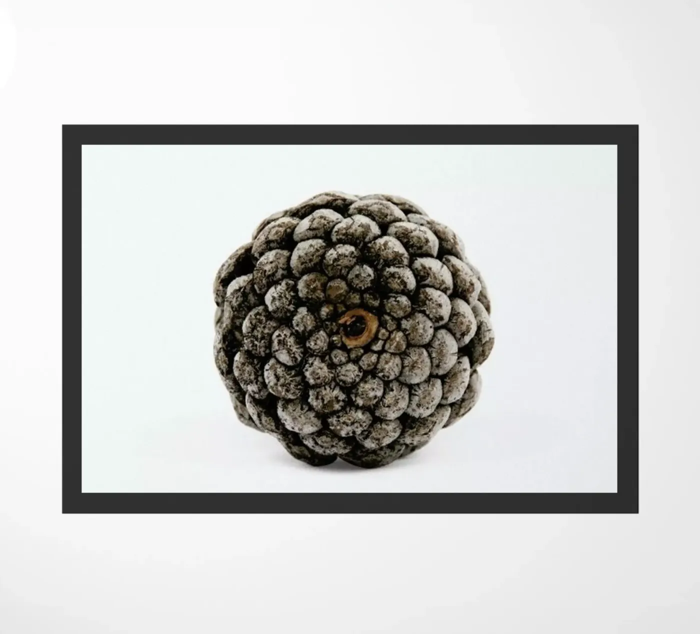 Pinecone N2 deurmat van Miles of Light