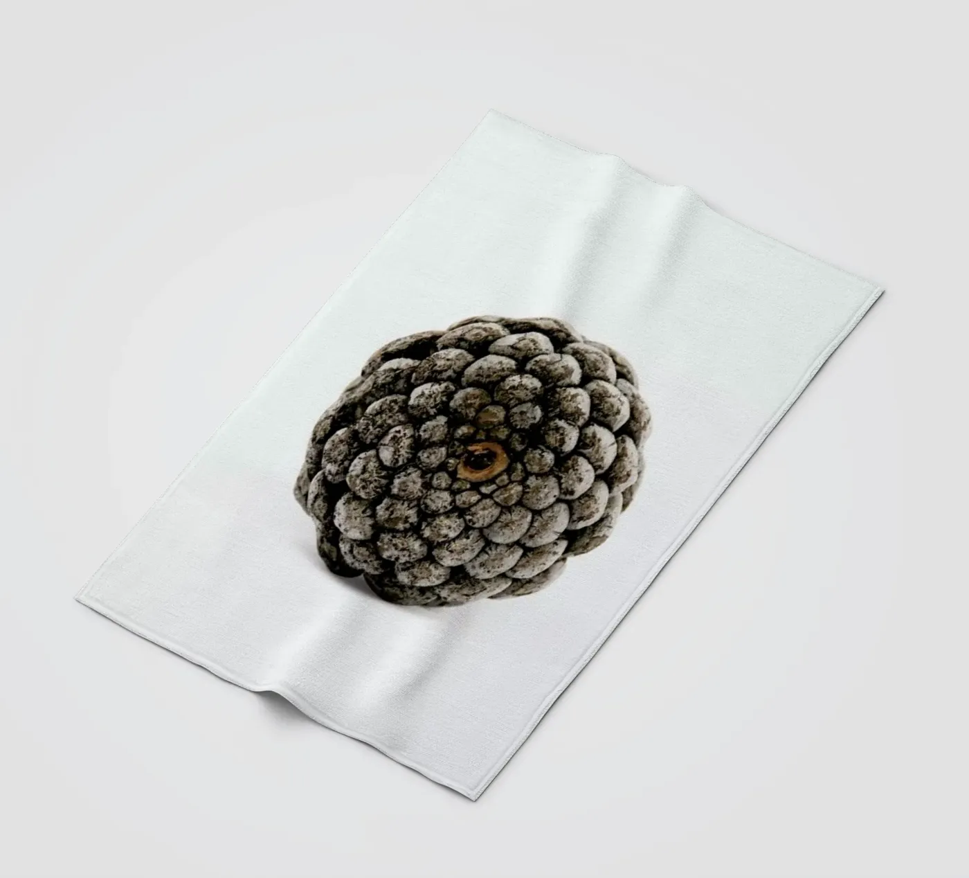 Pinecone N2 Fleecedecke von Miles of Light