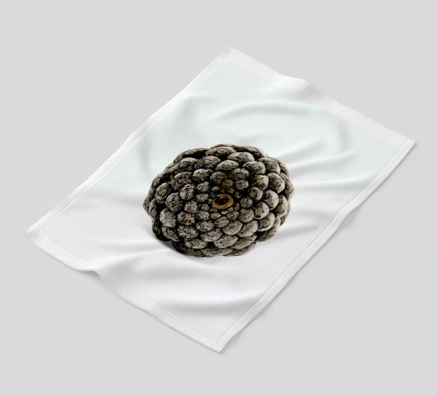 Pinecone N2 Fleecedecke von Miles of Light