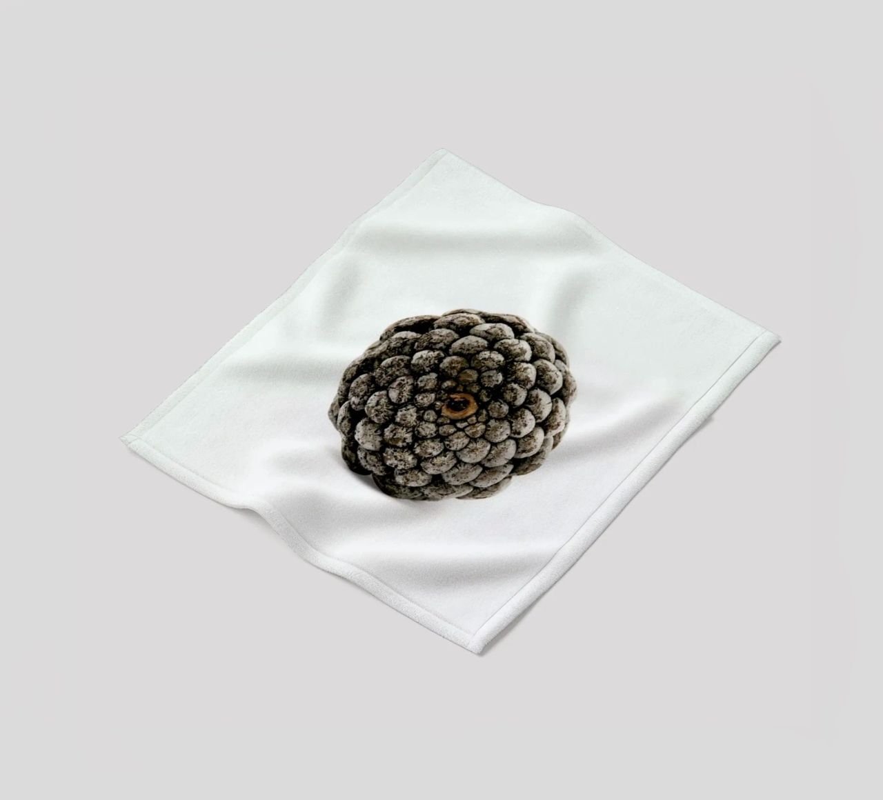 Pinecone N2 coperta in pile da Miles of Light
