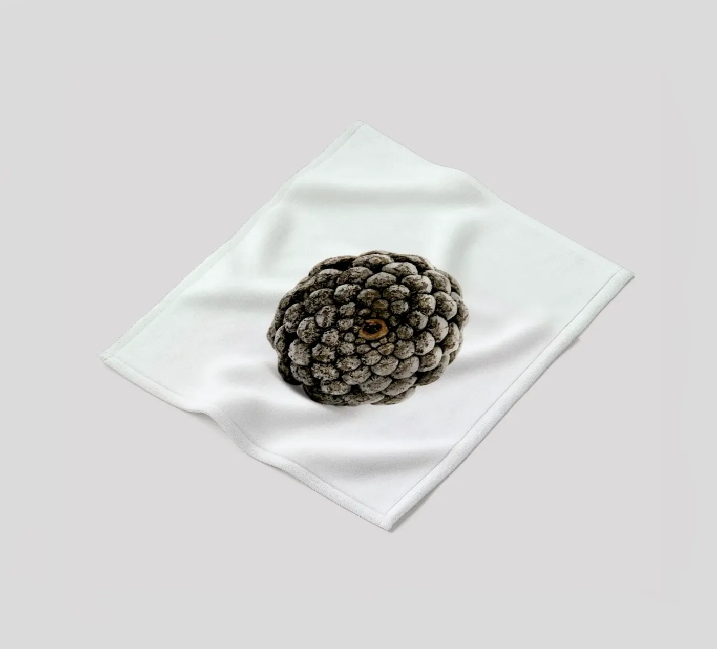 Pinecone N2 Fleecedecke von Miles of Light