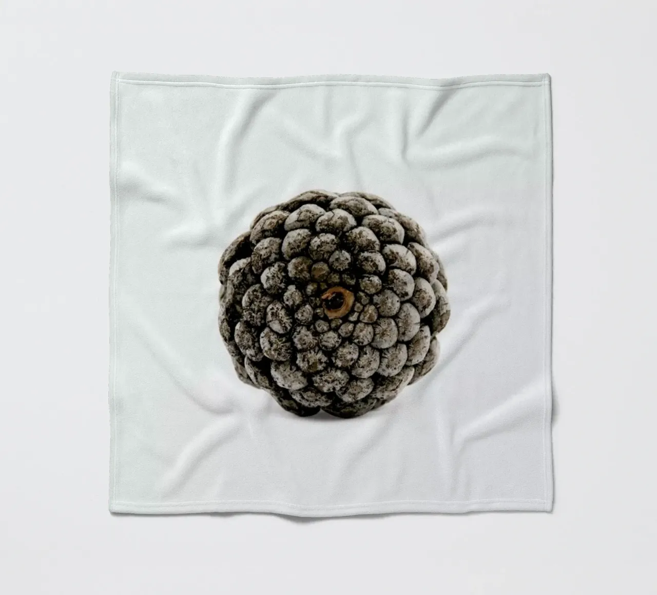 Pinecone N2 Fleecedecke von Miles of Light