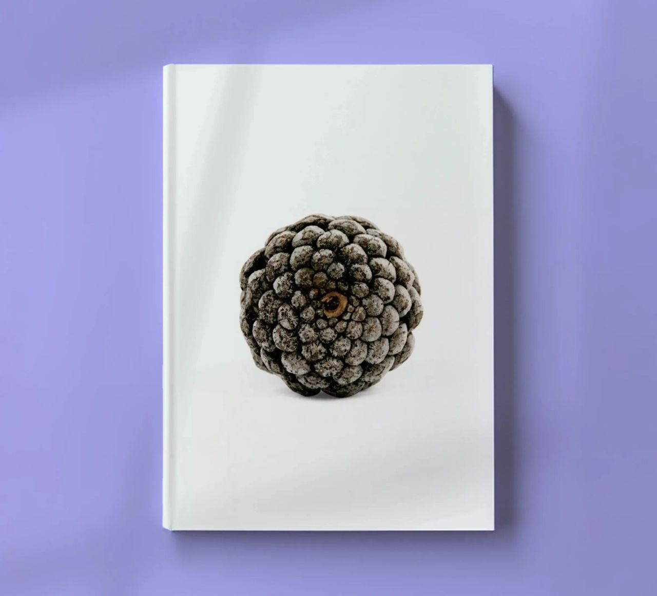 Pinecone N2 notebook by Miles of Light
