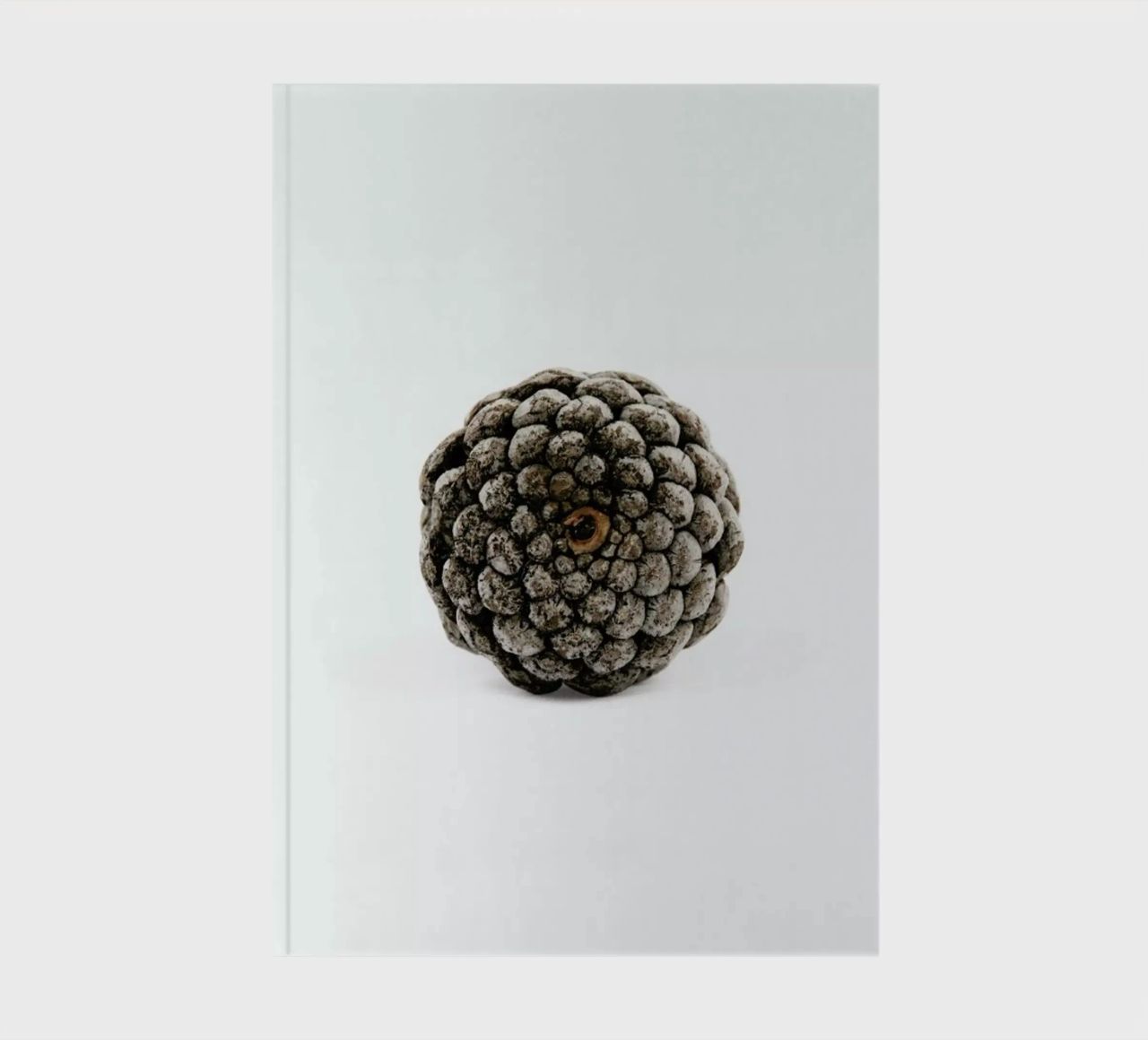 Pinecone N2 notebook by Miles of Light