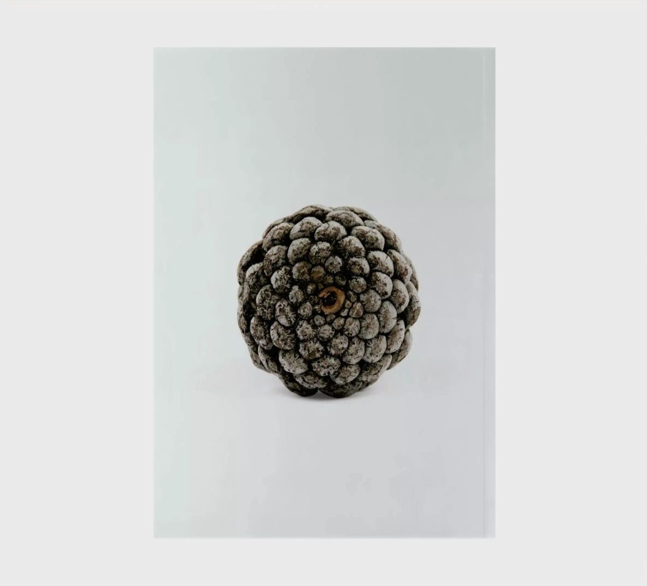 Pinecone N2 notebook by Miles of Light