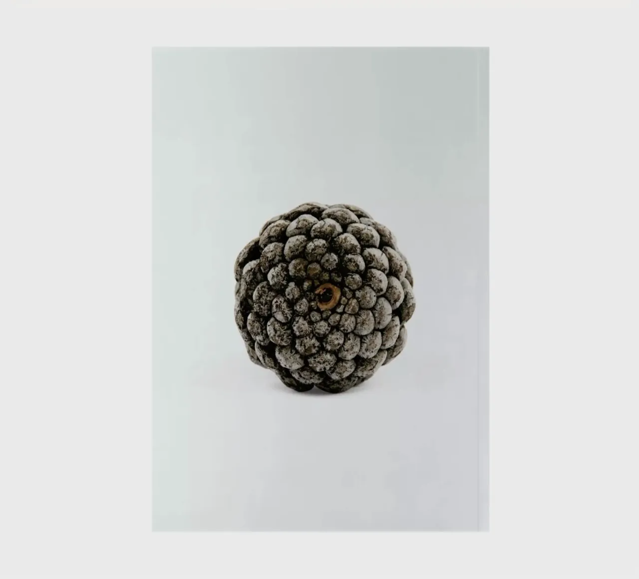 Pinecone N2 notitieboek van Miles of Light