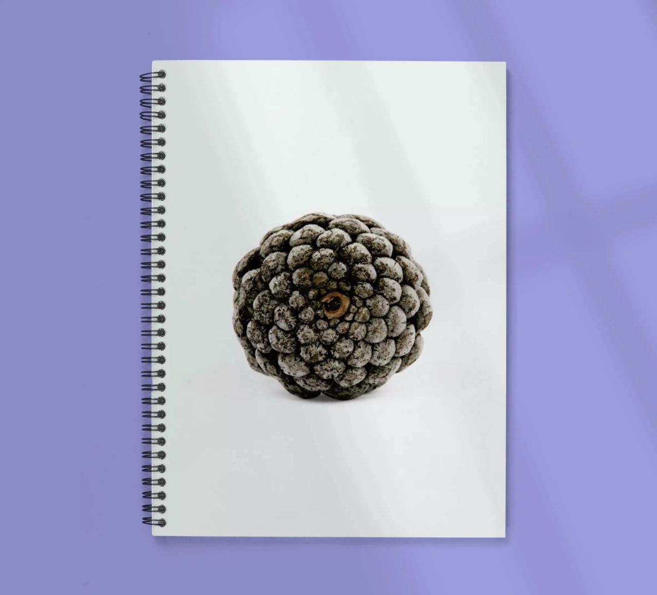 Pinecone N2 spiral notebook by Miles of Light