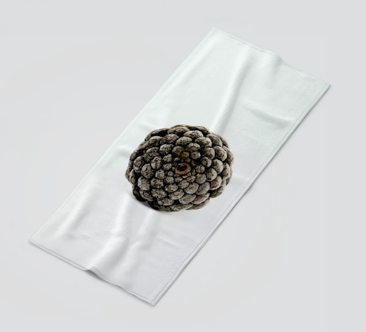 Pinecone N2 telo mare da Miles of Light