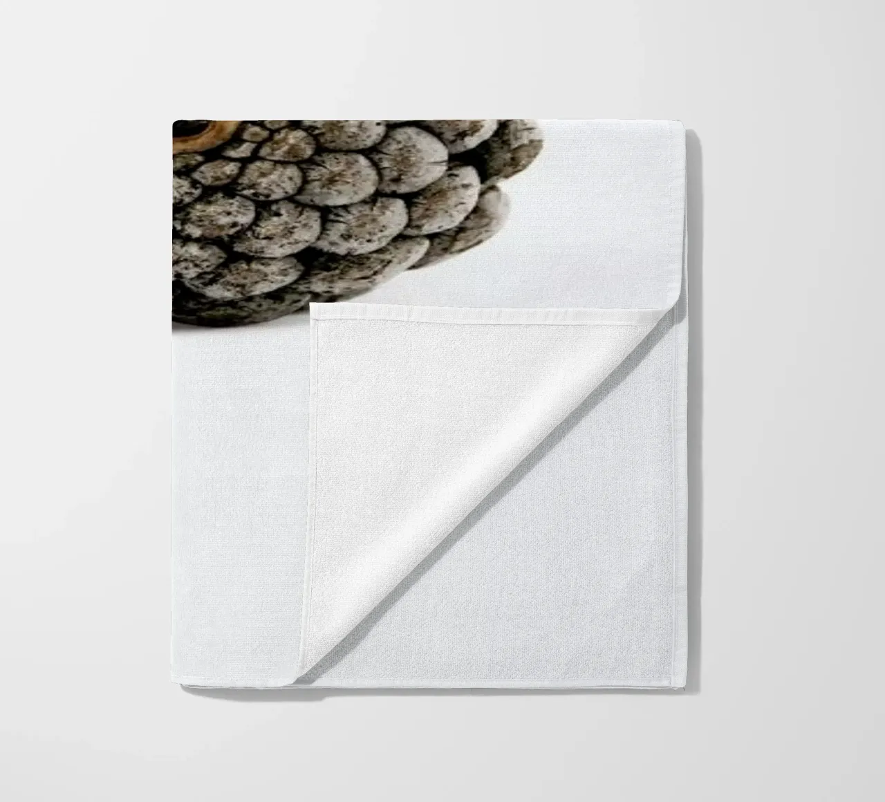 Pinecone N2 telo mare da Miles of Light