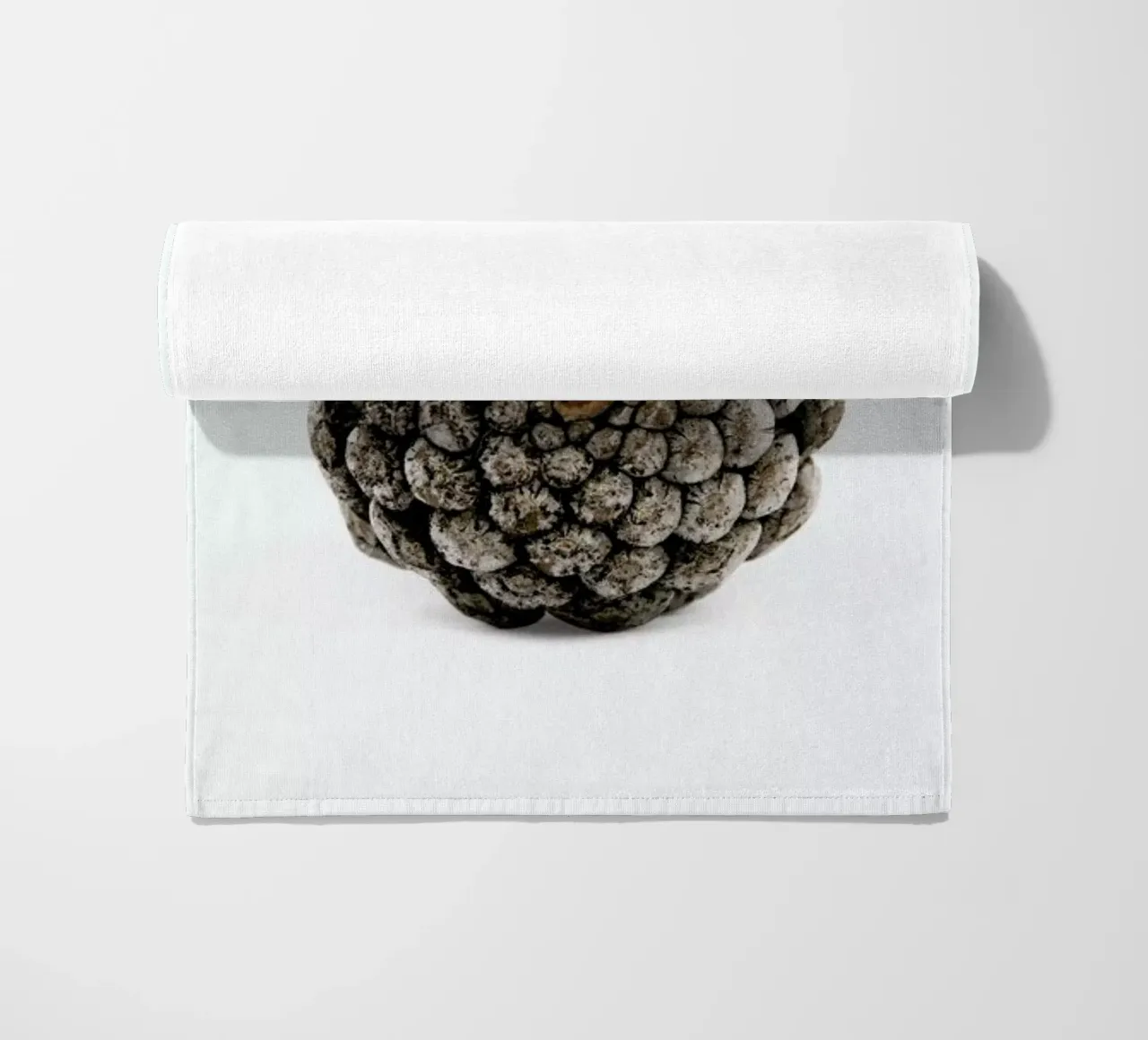 Pinecone N2 telo mare da Miles of Light