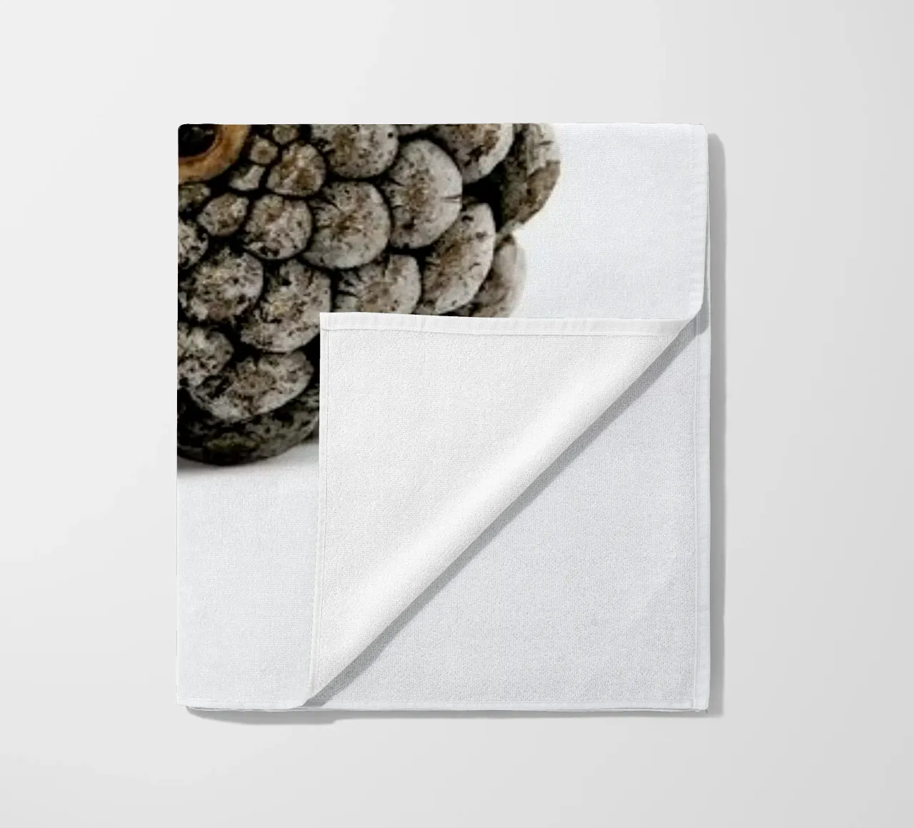 Pinecone N2 telo mare da Miles of Light