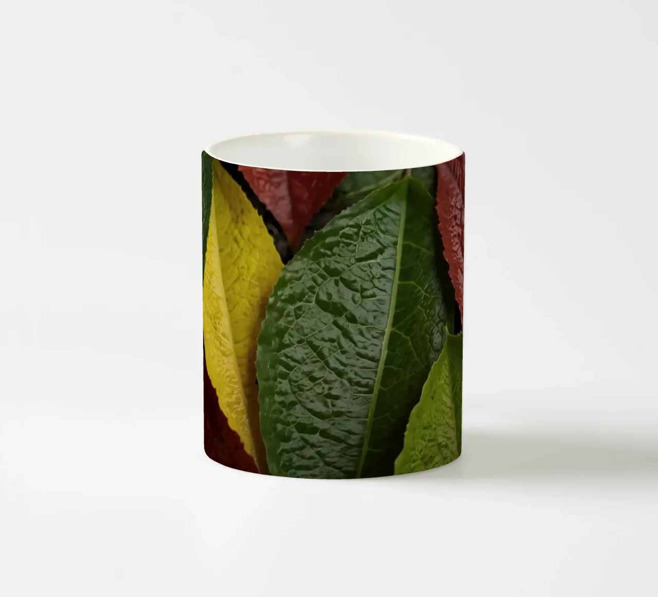 Foglie autunnali colorate disposte in una splendida cornice naturale tazza in ceramica da DesignDoodle