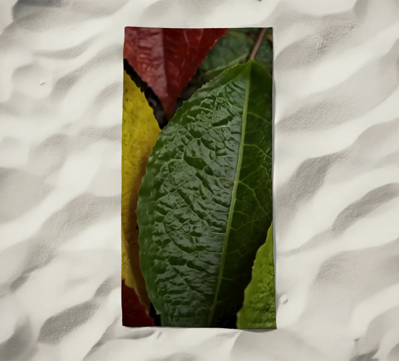 Foglie autunnali colorate disposte in una splendida cornice naturale telo mare da DesignDoodle
