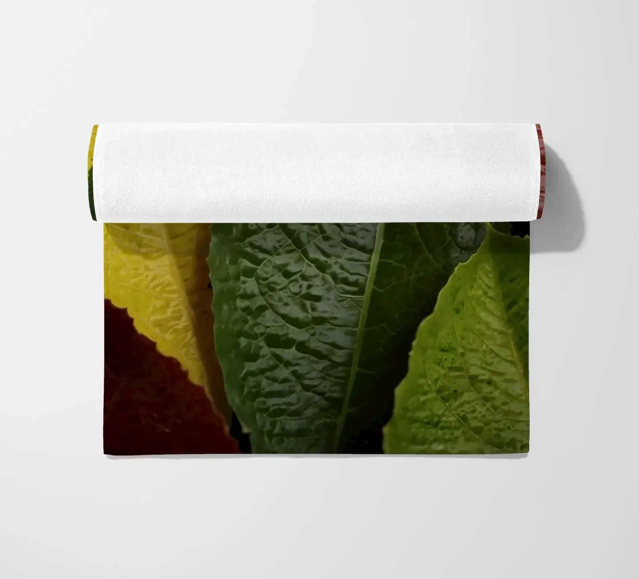 Foglie autunnali colorate disposte in una splendida cornice naturale telo mare da DesignDoodle