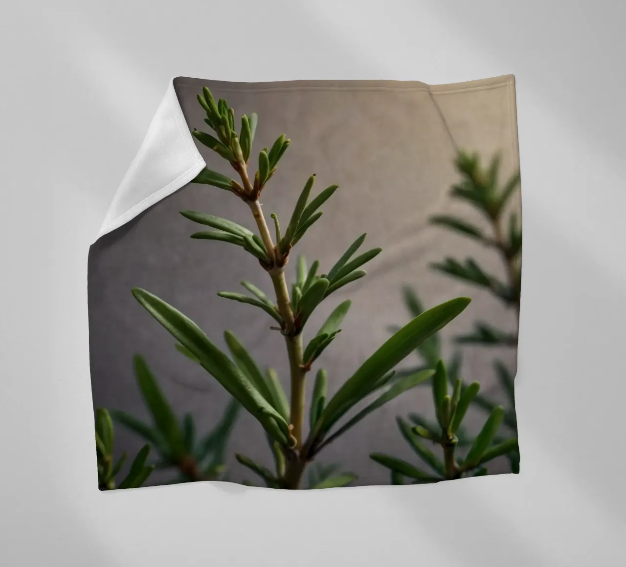 I rami verdi delle piante si protendono verso l'alto, mostrando foglie vivaci. coperta in pile da DesignDoodle