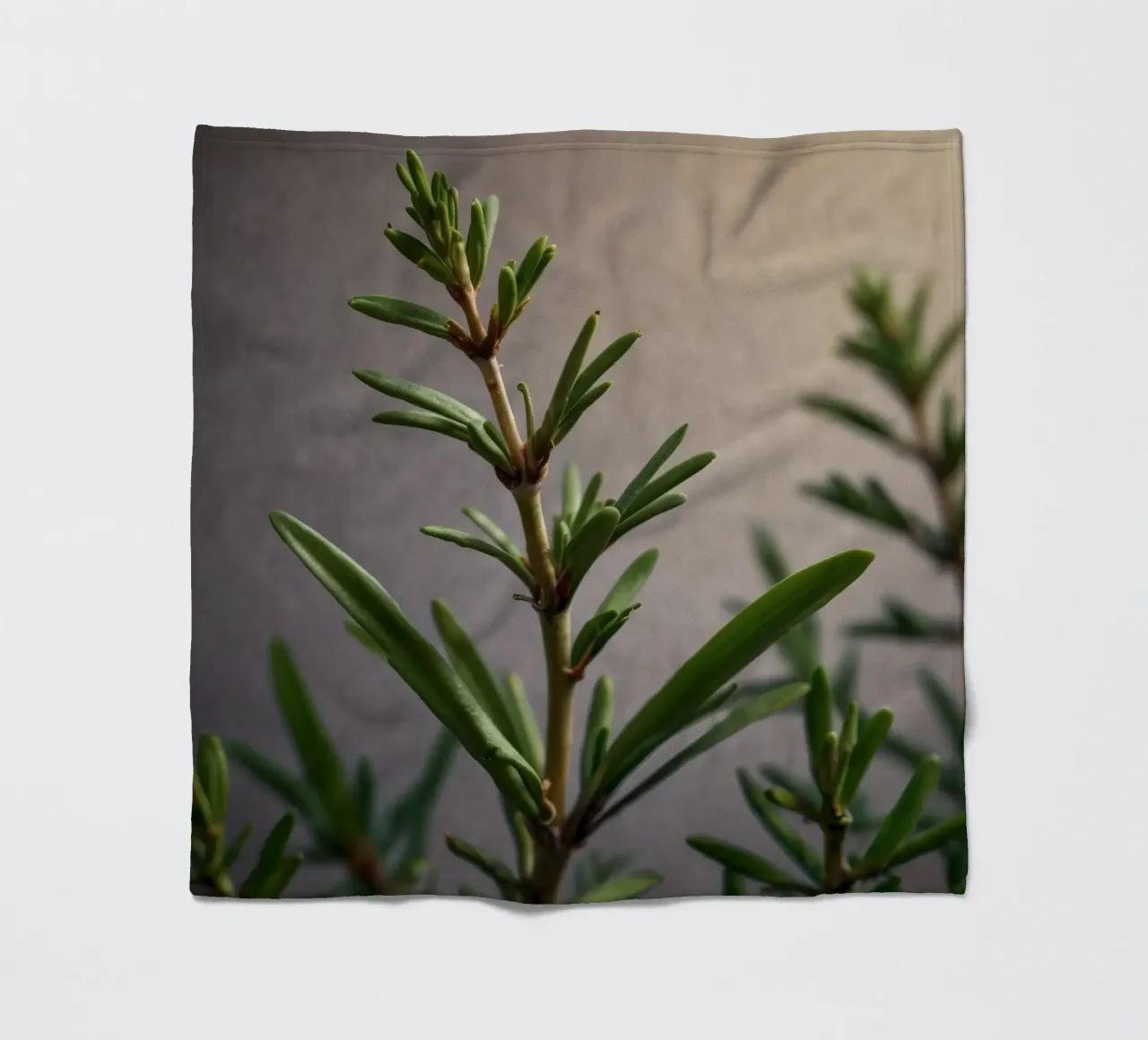 I rami verdi delle piante si protendono verso l'alto, mostrando foglie vivaci. coperta in pile da DesignDoodle